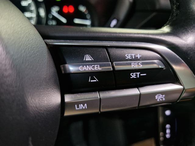 MAZDA MX-30 Exceed 35,5 KWh OBC 7,4 KW RADAR+18'+PELLE+UNIPROP