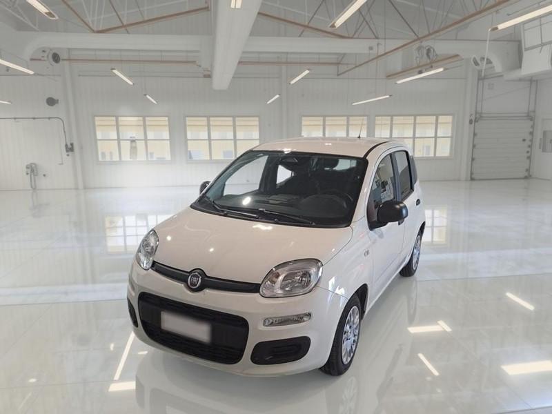 FIAT PANDINA 1.0 FIREFLY 65 CV SES 6M HYBRID ICON 5 PORTE BERLINA