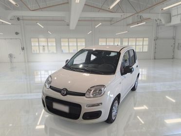 FIAT PANDINA 1.0 FIREFLY 65 CV SES 6M HYBRID ICON 5 PORTE BERLINA