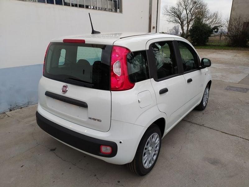 FIAT Panda 1.0 70cv Hybrid Promo CBC 5
