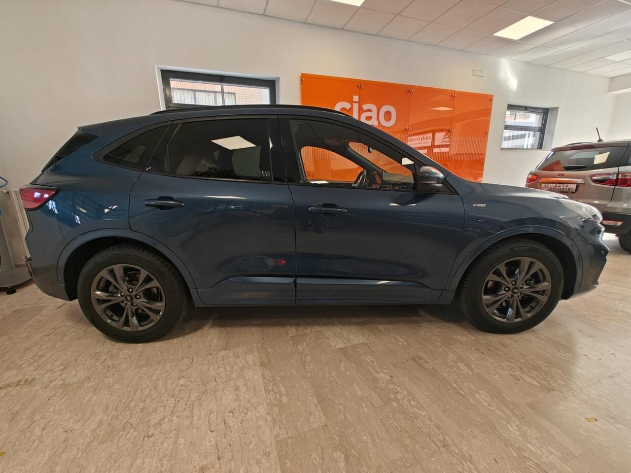 Ford Kuga 1.5 EcoBlue 120 CV 2WD ST-Line