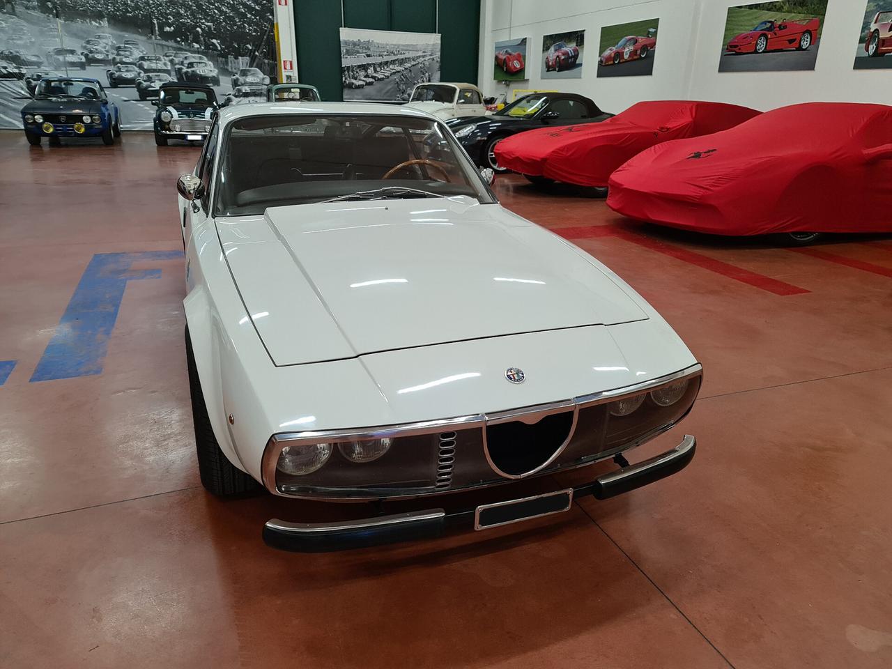 Alfa Romeo Altro junior zagato 1300