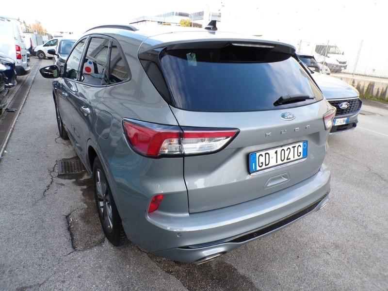 Ford Kuga 1.5 EcoBlue 120 CV 2WD ST-Line