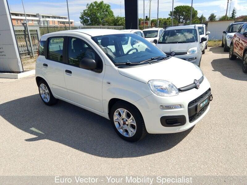 FIAT Panda Panda 1.0 FireFly S&S Hybrid Launch Edition