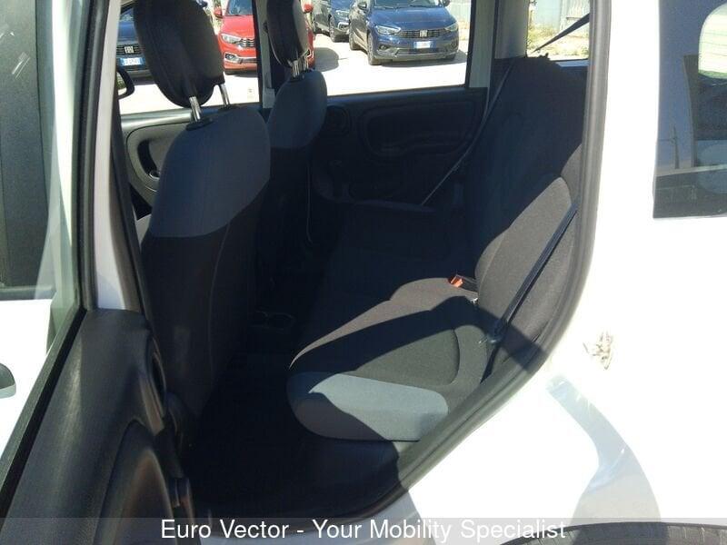 FIAT Panda Panda 1.0 FireFly S&S Hybrid Launch Edition