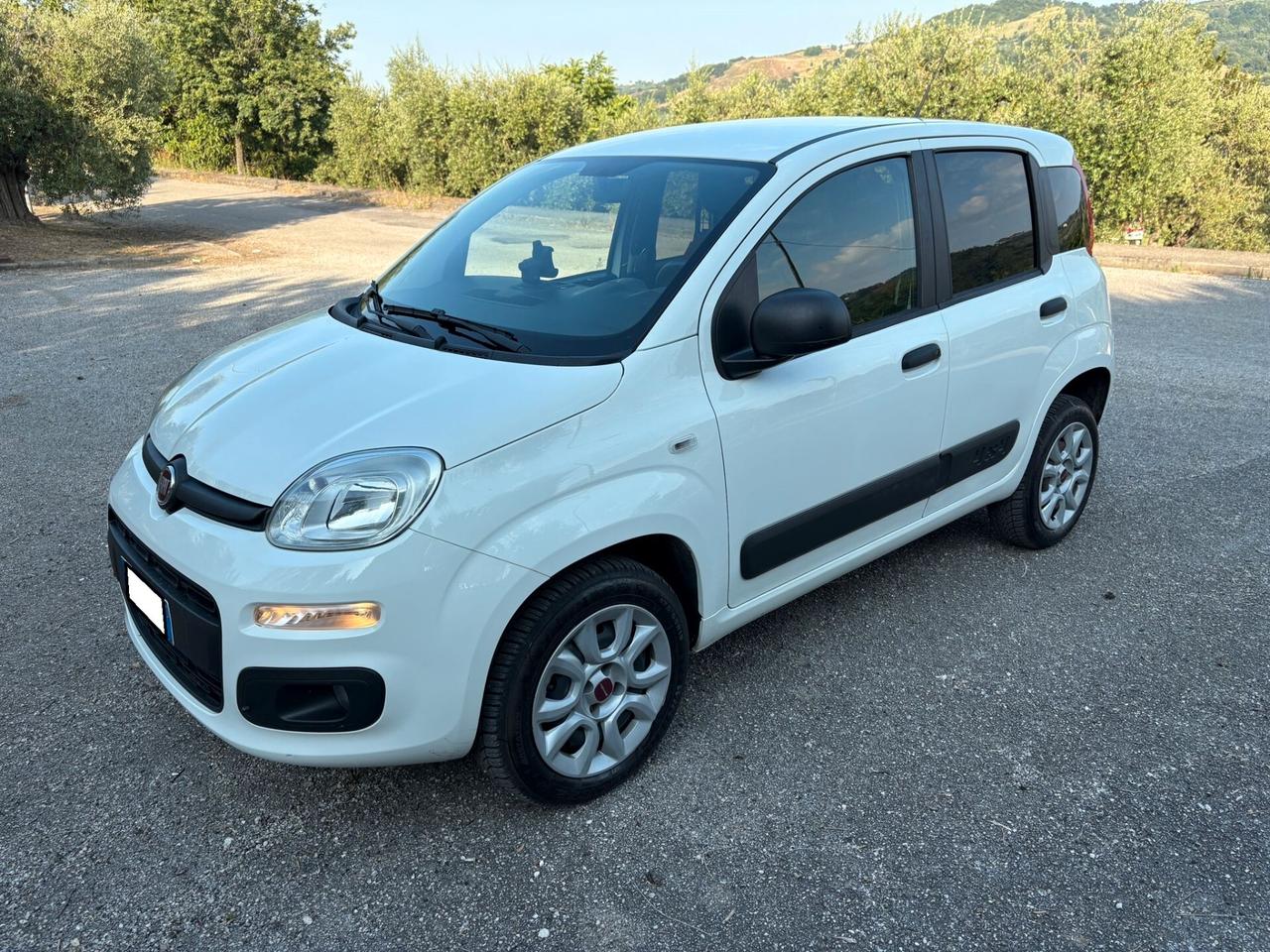 FIAT Panda 0.9Turbo S&S 4x4 Eld Pop N1-Van - 2019