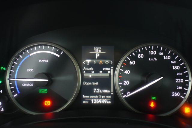 LEXUS Other NX NX Hybrid 4WD Icon