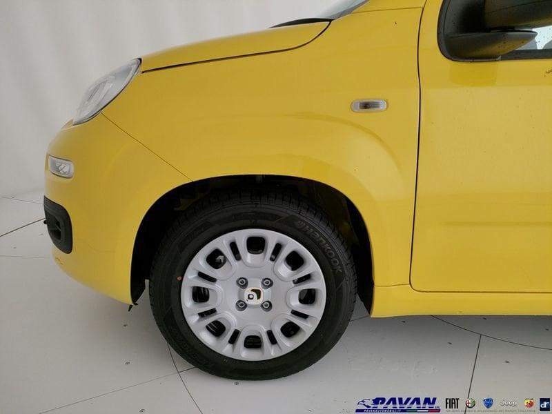 FIAT Pandina Panda 1.0 FireFly 65 CV Hybrid Pop