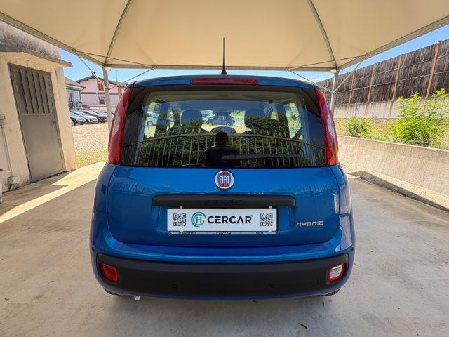 FIAT Pandina 1.0 FireFly 65 CV Hybrid Icon COME NUOVA