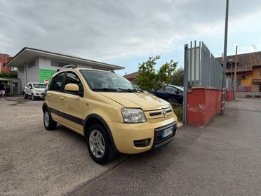 Fiat Panda 1.4 Climbing Natural Power