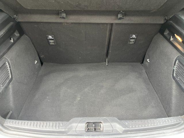 FORD Focus 1.5 EcoBlue 115 CV automatico 5p. ST-Line