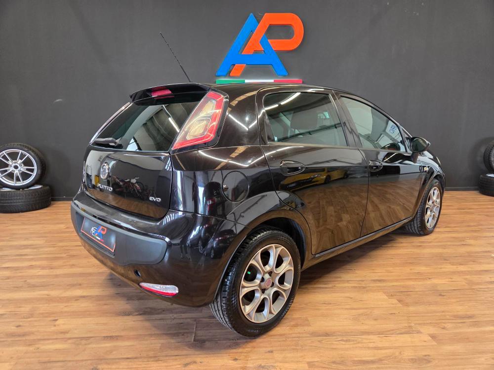 Fiat Punto Evo 5 Porte Punto Evo 5p 1.3 mjt Dynamic s&s 75cv dpf