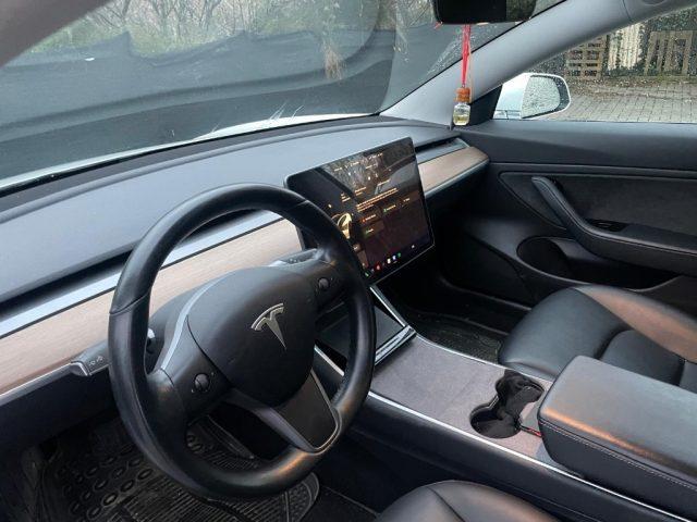 TESLA Model 3 Standard RWD Plus