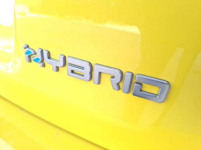 FIAT Panda Cross 1.0 GSE Mild Hybrid