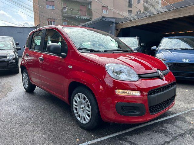 FIAT Panda 1.0 FireFly S&S *PREZZO PROMO*