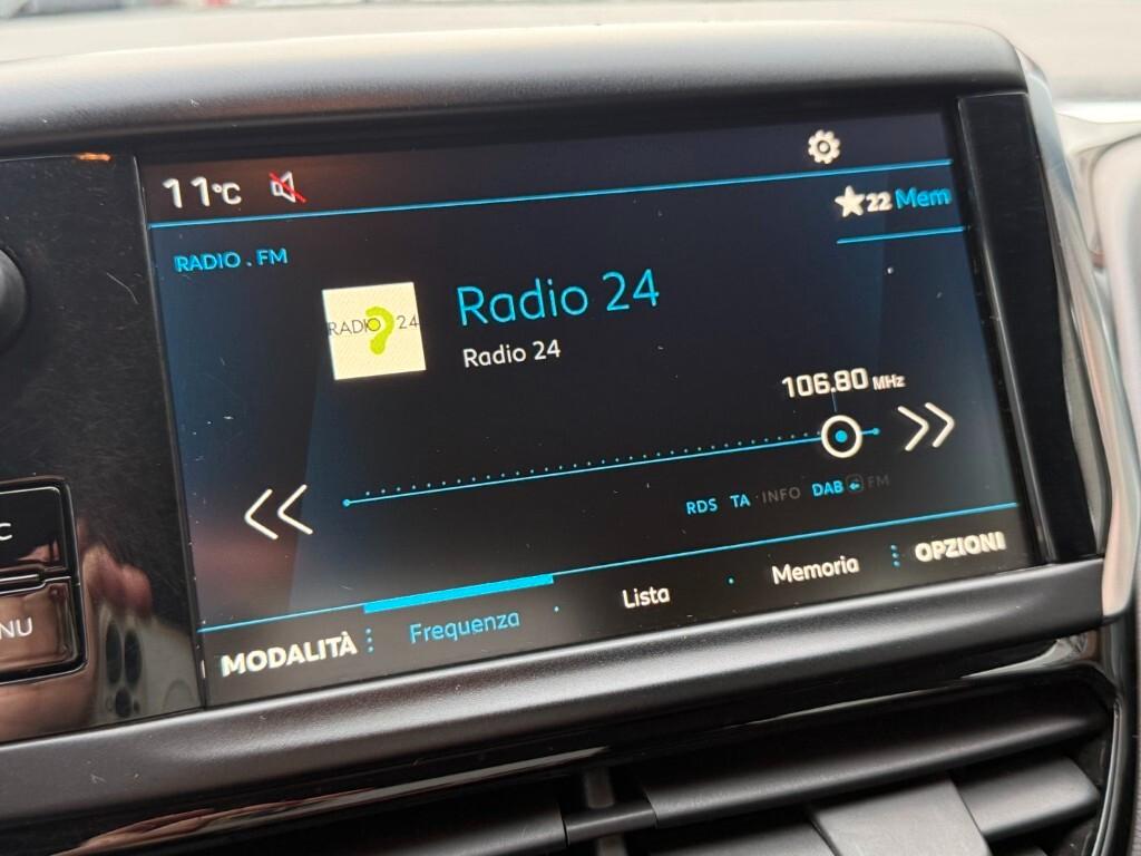 Peugeot 208 BlueHDi 100 S&S 5 porte Van Active