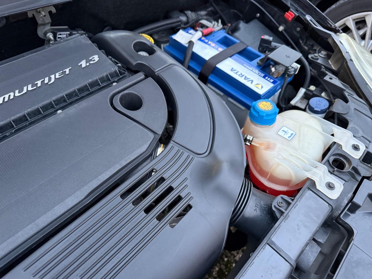 Fiat Punto Evo 1.3 Mjt 95 CV DPF 5 porte S&S Dynamic