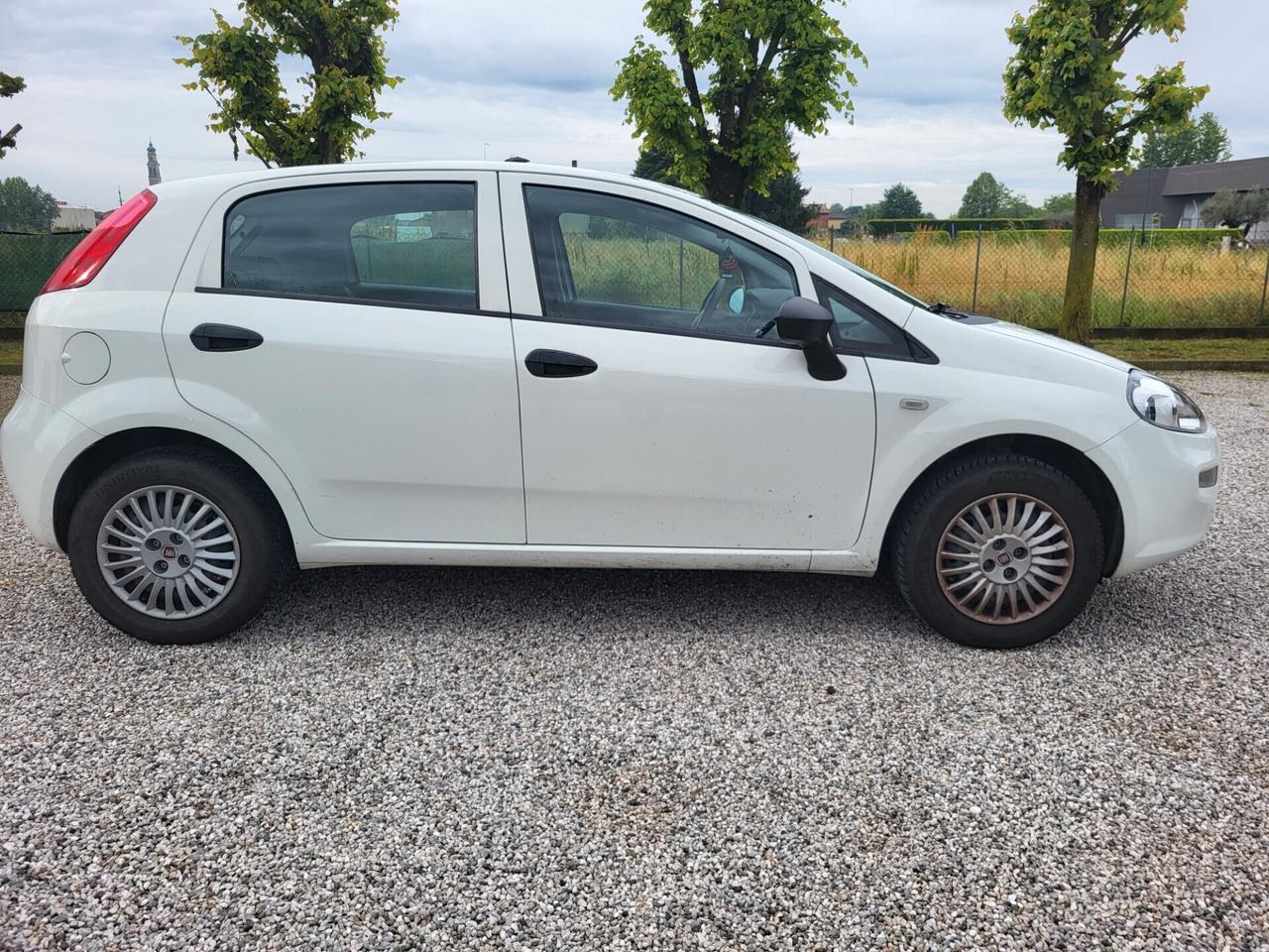 Fiat Punto 1.2 8V 5 porte Street