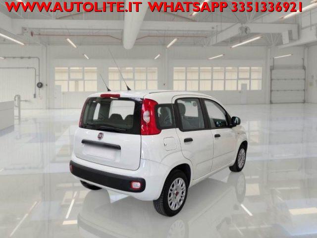 FIAT Panda 1.2 Easy 5 Posti