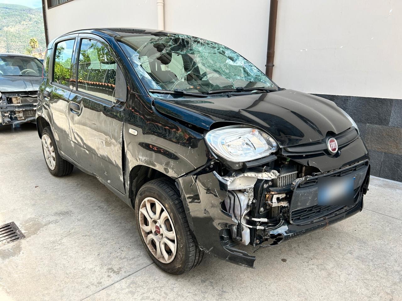 Fiat Panda 0.9 T.Air Metano - 2019 Incidentata