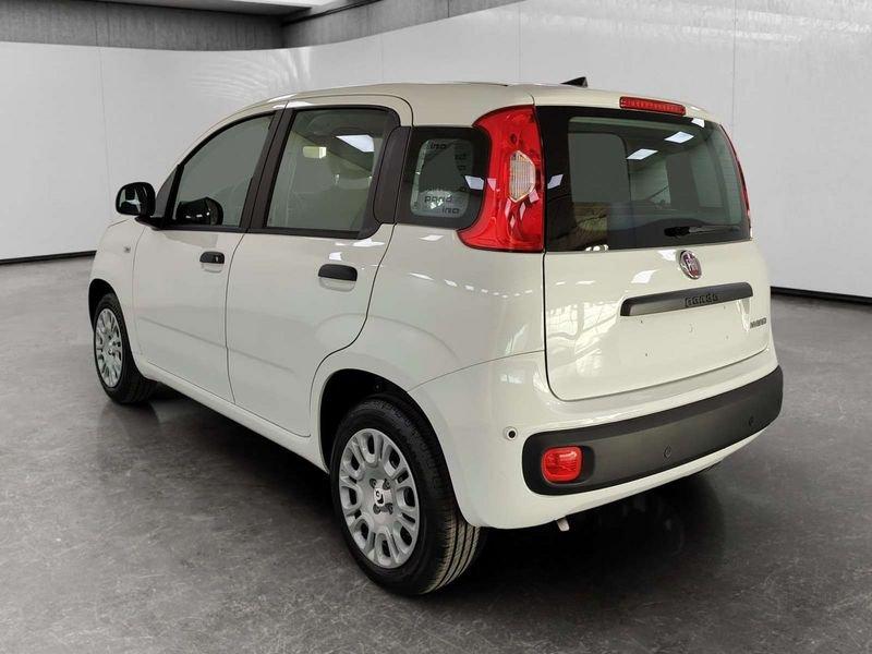 FIAT Pandina 1.0 firefly hybrid Icon s&s 70cv