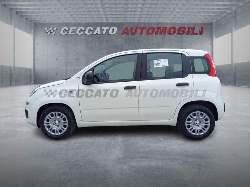 FIAT Panda Panda 1.0 firefly hybrid s&s 70cv