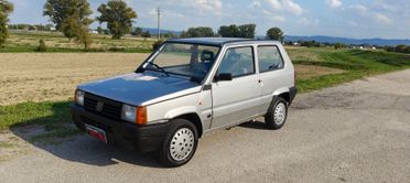 Fiat Panda 900 i.e. cat Young - neopatentati
