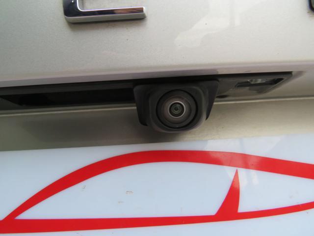 FORD Focus 1.5 EcoBlue 120 CV automatico SW Business Co-Pilot