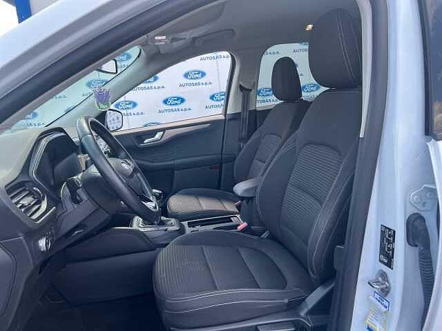 Ford Kuga 1.5 EcoBlue 120 CV 2WD Titanium Business