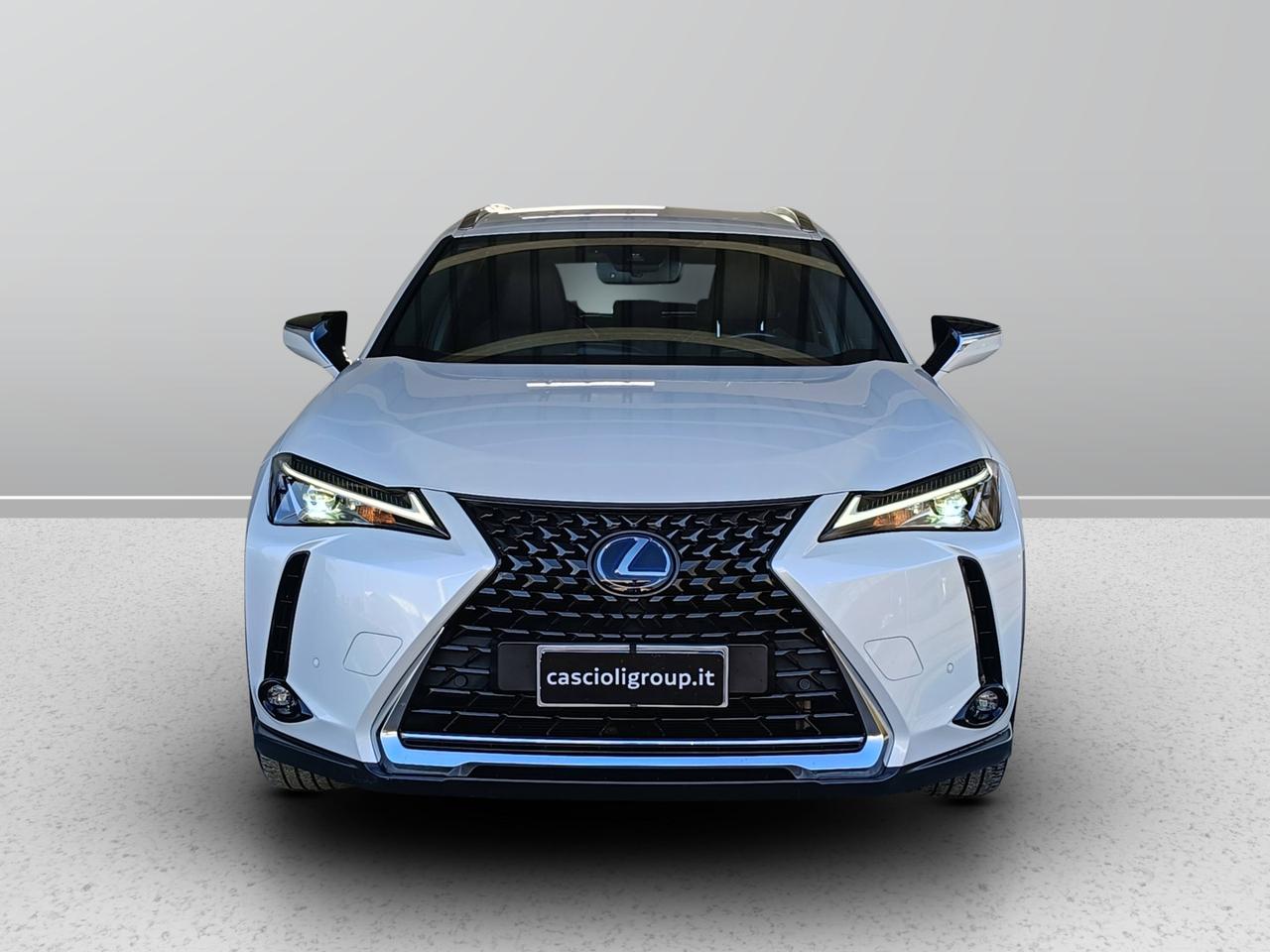 LEXUS UX 2019 - UX 250h 2.0 Luxury 4wd cvt my20