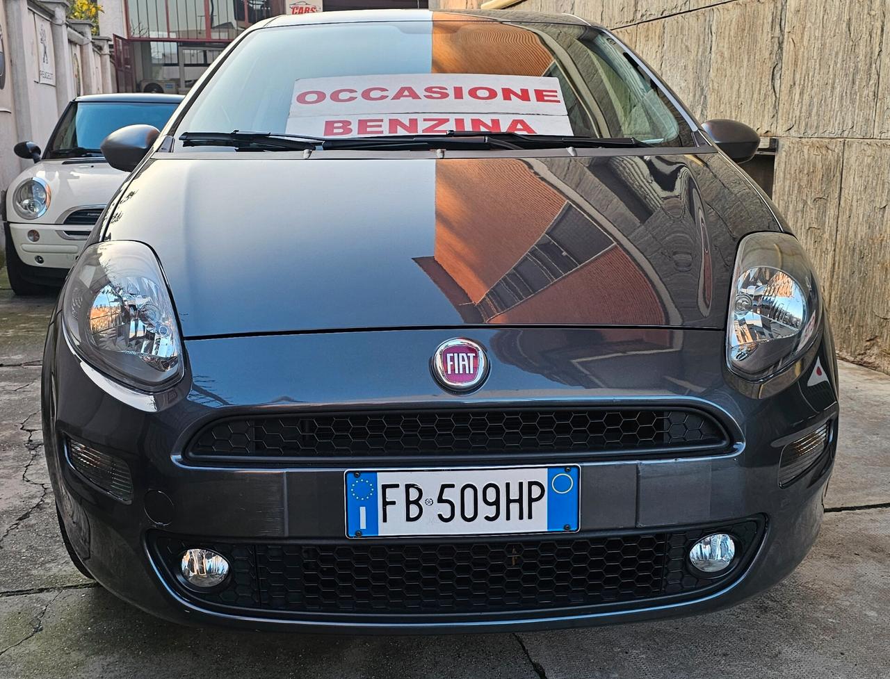 Fiat Punto 1.2 8V 5 porte Young