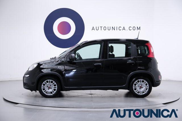 FIAT Panda 1.0 FIREFLY S&S HYBRID CITY LIFE NEOPATENTATI