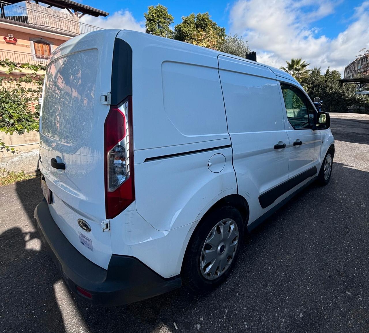 Ford Transit Connect (N1)