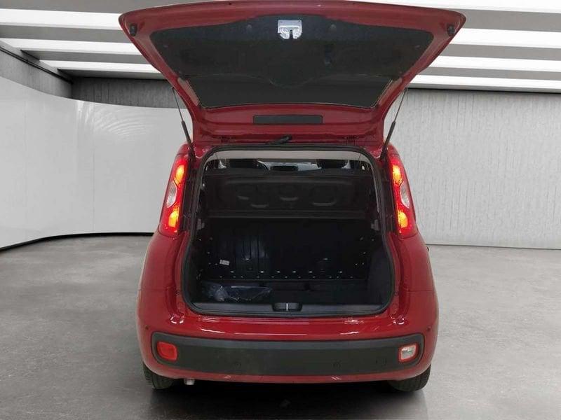 FIAT Pandina 1.0 firefly hybrid Icon s&s 70cv 5p.ti