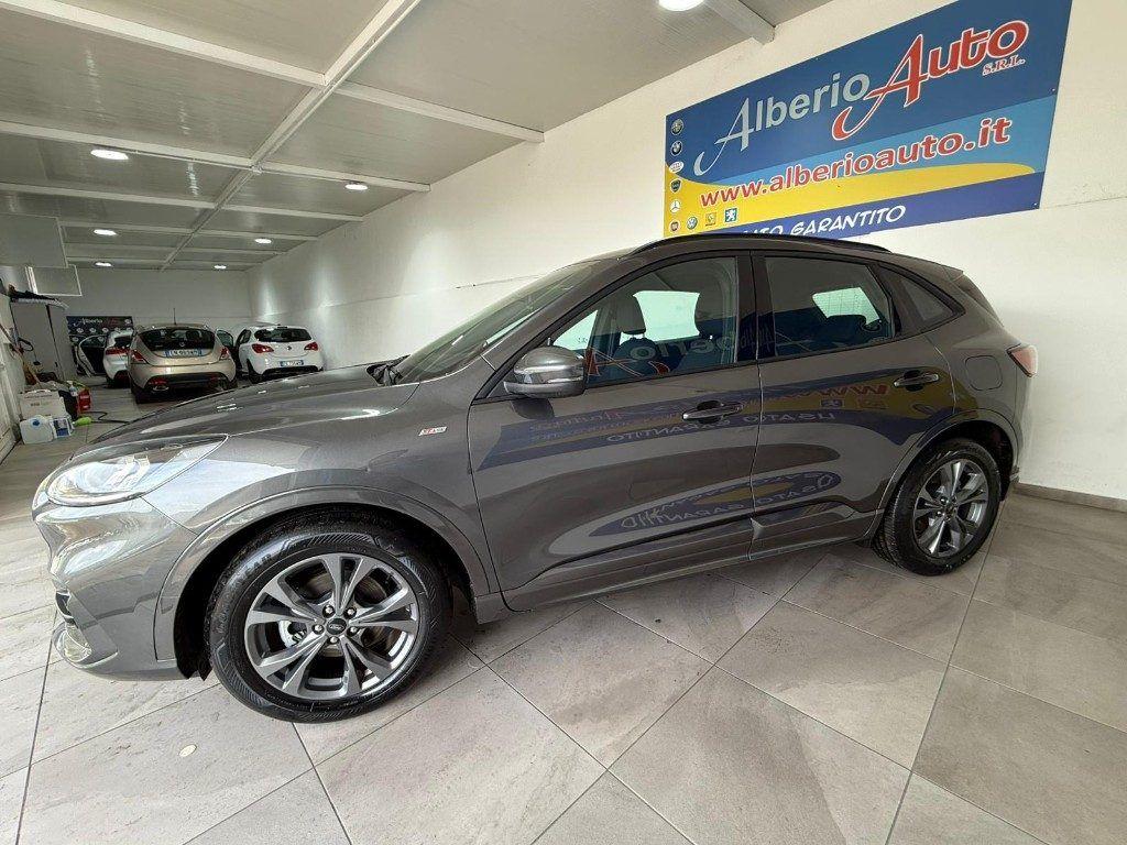 Ford Kuga 2.0 EcoBlue Hybrid 150 CV 2WD ST-Line