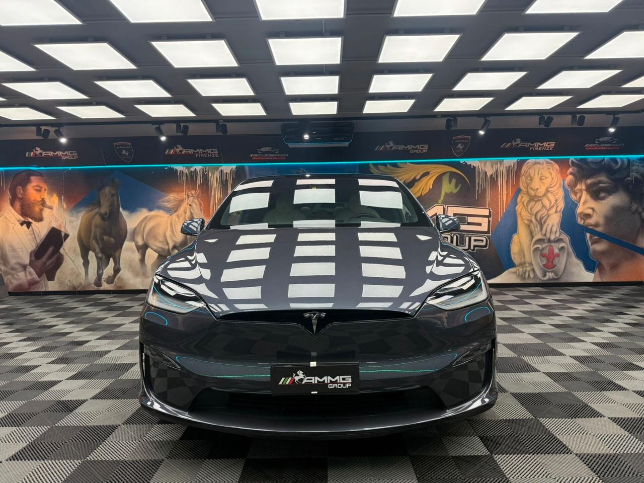 Tesla Model X LONG RANGE (734)