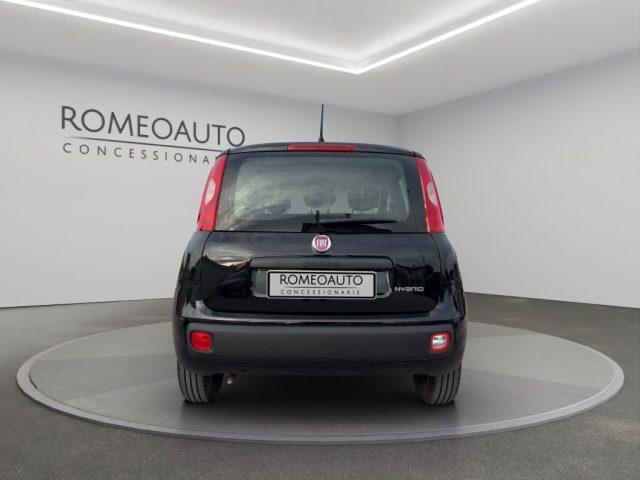 FIAT Panda 1.0 Hybrid 70cv 5 posti