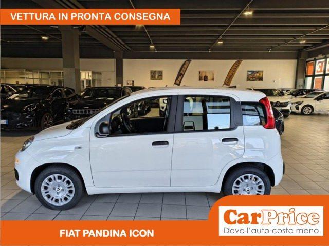 FIAT Pandina 1.0 FireFly 65CV Hybrid Icon (5 Posti)
