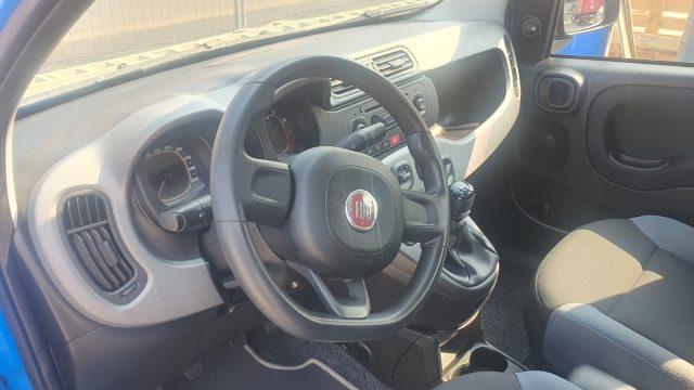 FIAT Panda 1.2 Pandazzurri UNICA-PREZZO REALE-FINANZIABILE