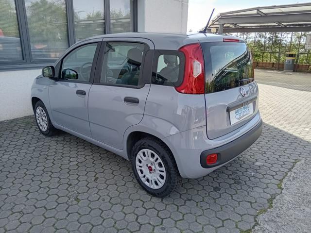 FIAT Panda 1.2 BENZINA 69CV EASY PROMO ALL-INCLUSIVE