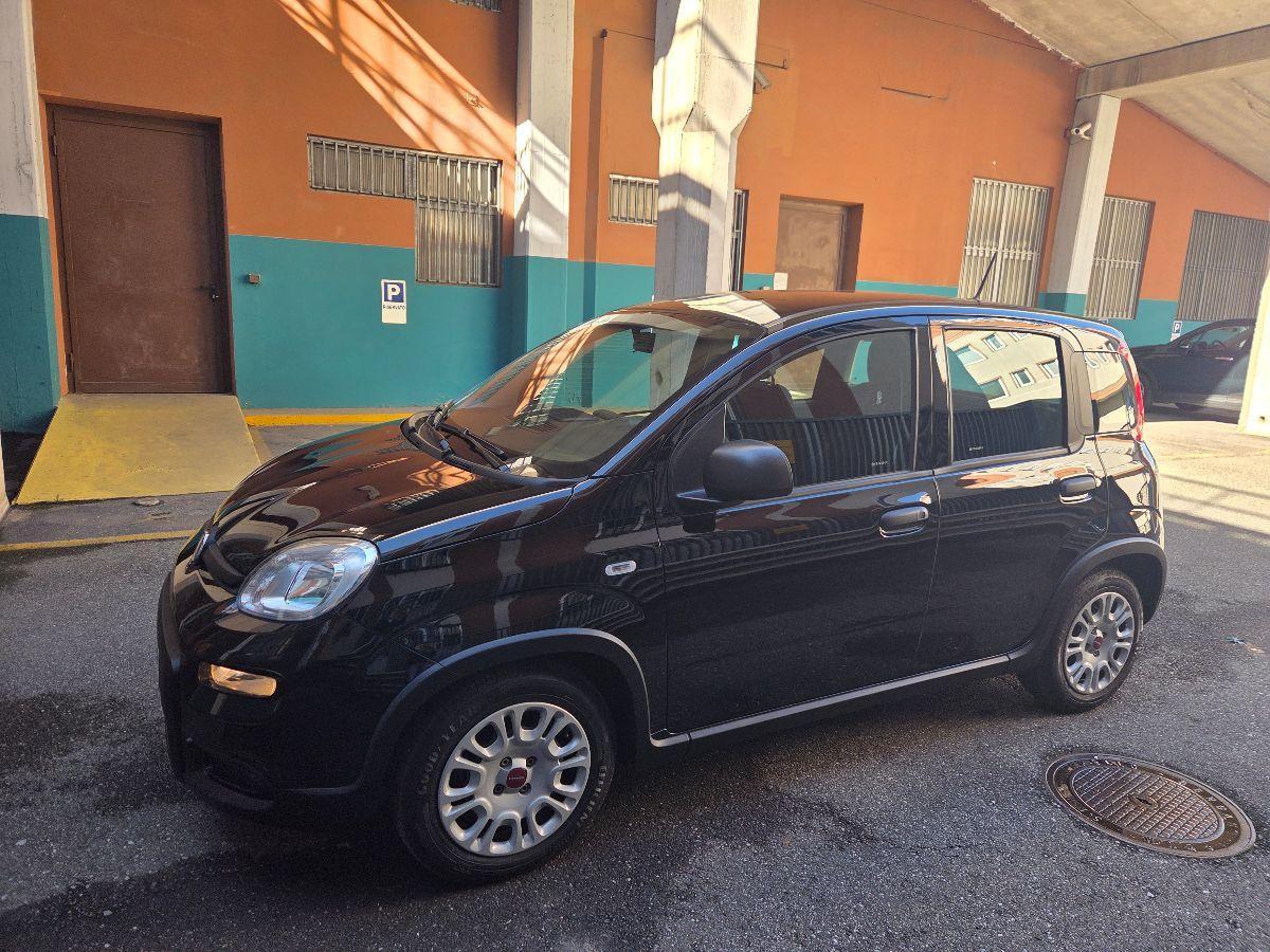 FIAT - Panda - 1.0 FireFly S&S Hybrid