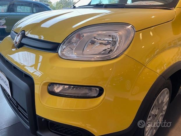 FIAT Panda 1.0 70cv Hybrid Panda N71609