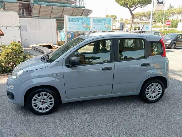 Fiat Panda Panda III 2016 1.0 hybrid Easy s
