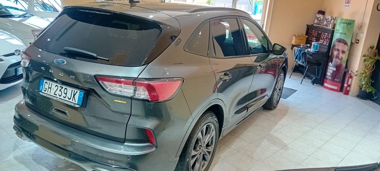 Ford Kuga 1.5 EcoBlue 120 CV aut. 2WD ST-Line