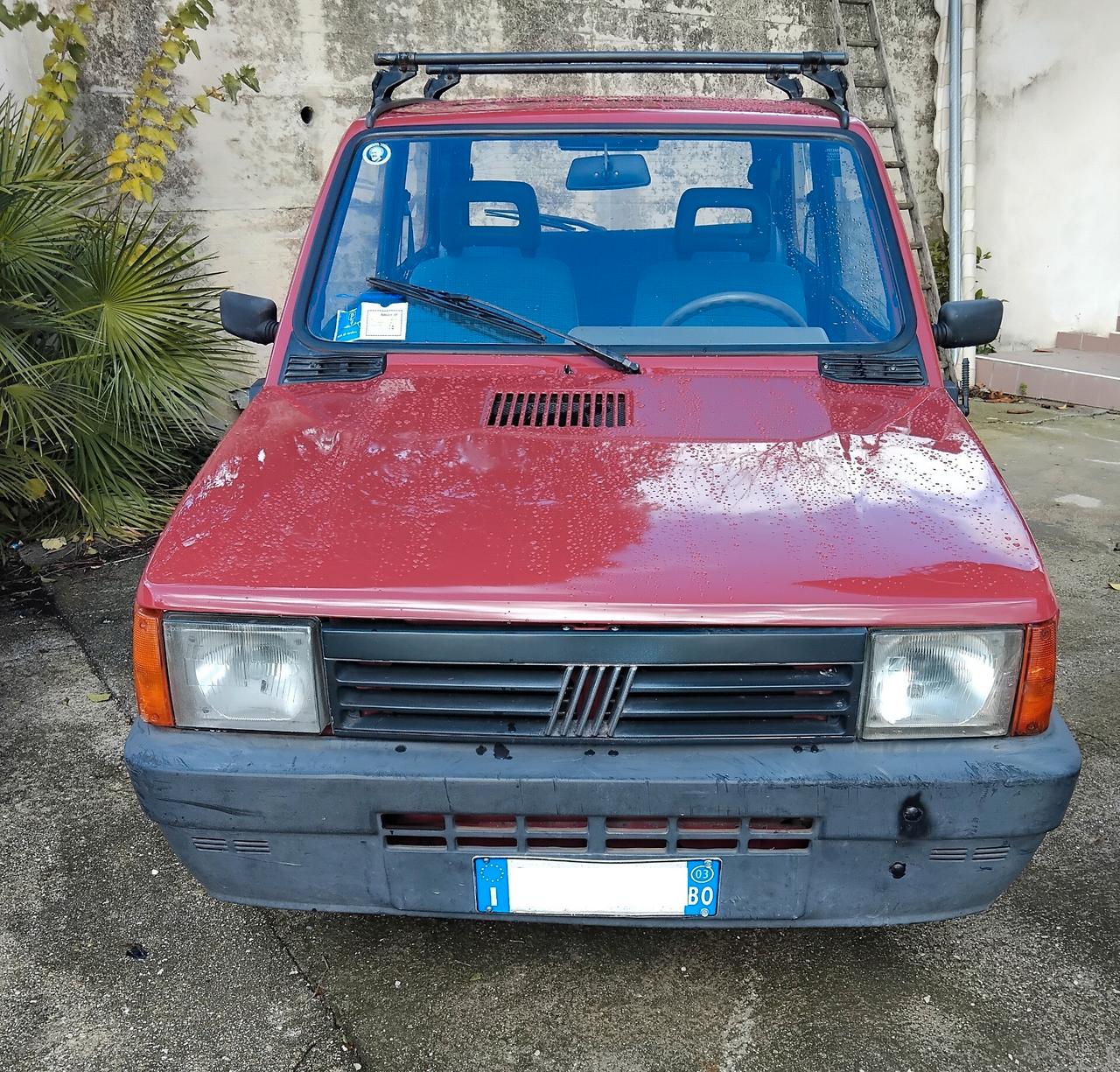 Fiat Panda 1100 i.e. cat Young