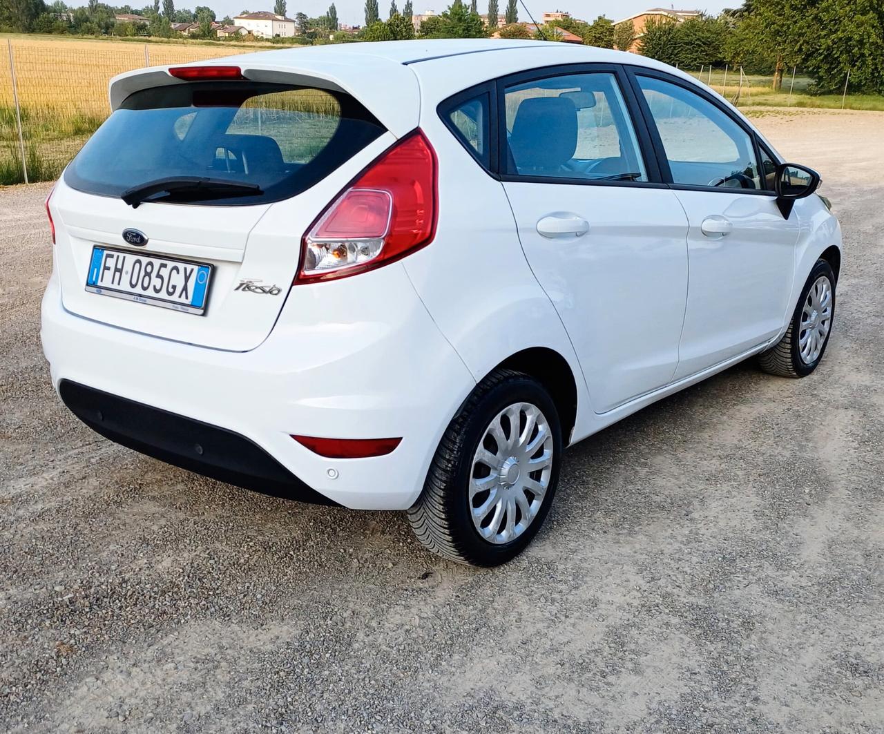 Ford Fiesta 1.4 5 porte Bz.- GPL Black & White Edition