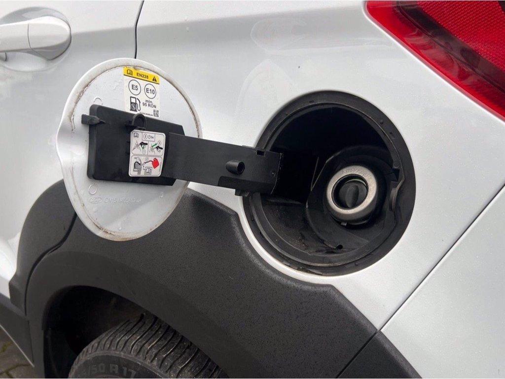FORD EcoSport 1.0 EcoBoost 125 CV Start&Stop Active del 2022