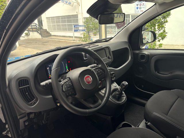 FIAT Panda 1.0 FireFly S&S Hybrid da ?139,00 mensili
