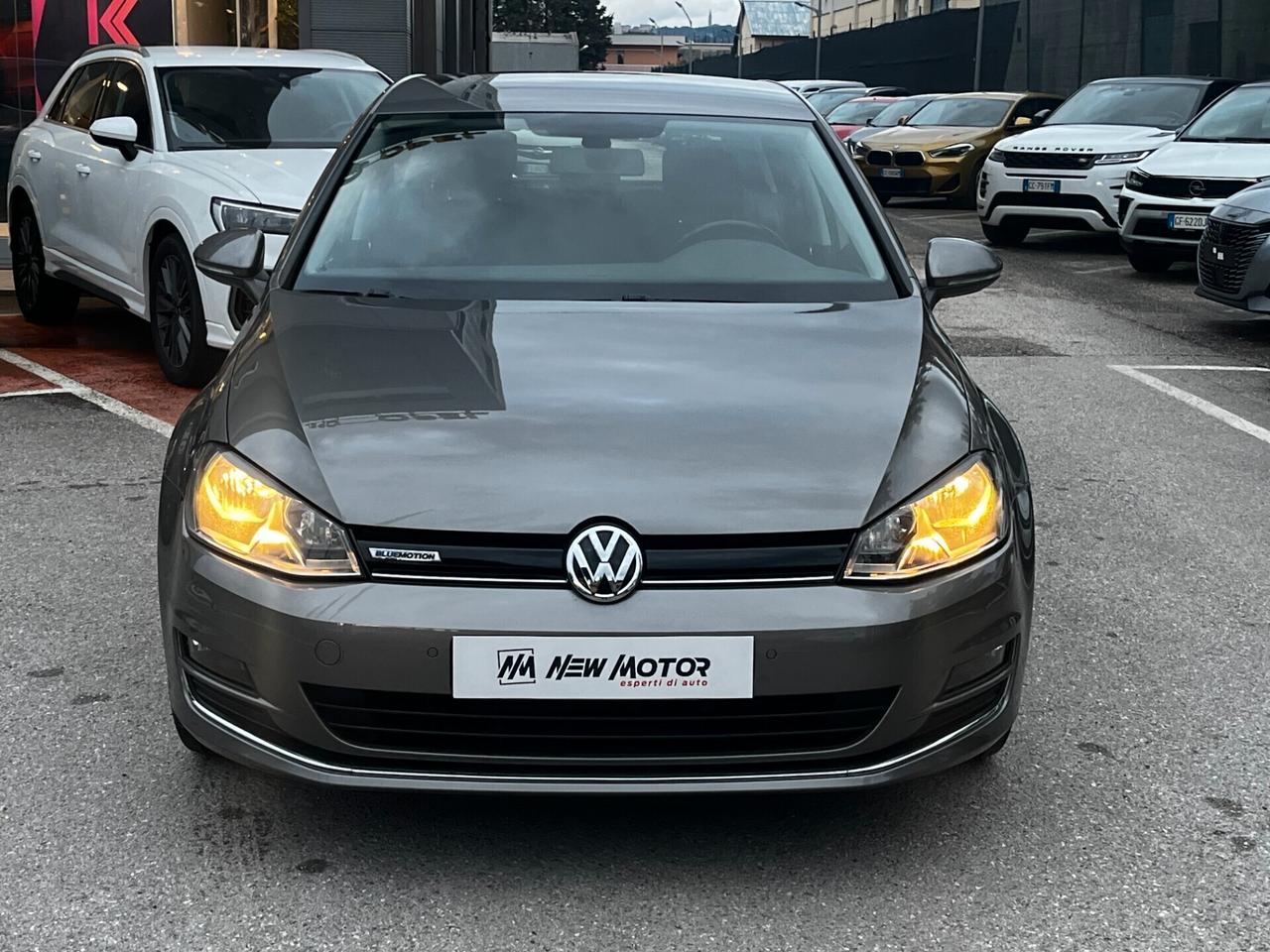 Volkswagen Golf 1.4 TGI 5p. Highline BlueMotion