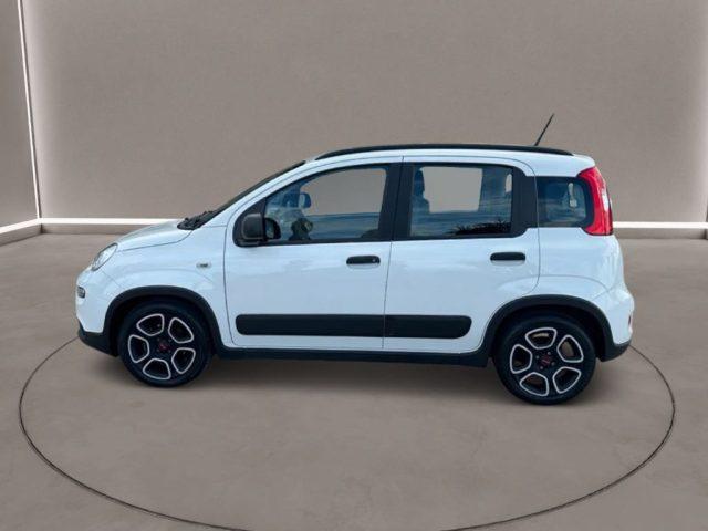 FIAT Panda 3ª serie - 1.0 FireFly S&S Hybrid City Life